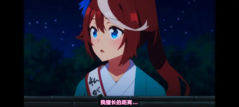 赛马娘,赛马娘PrettyDreby,动画,动漫,番剧,ACG