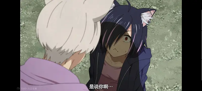 尼古喵喵,雅尼猫,动画,动漫,番剧,日漫,二次元,ACG