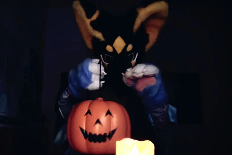 万圣节,FURRY
