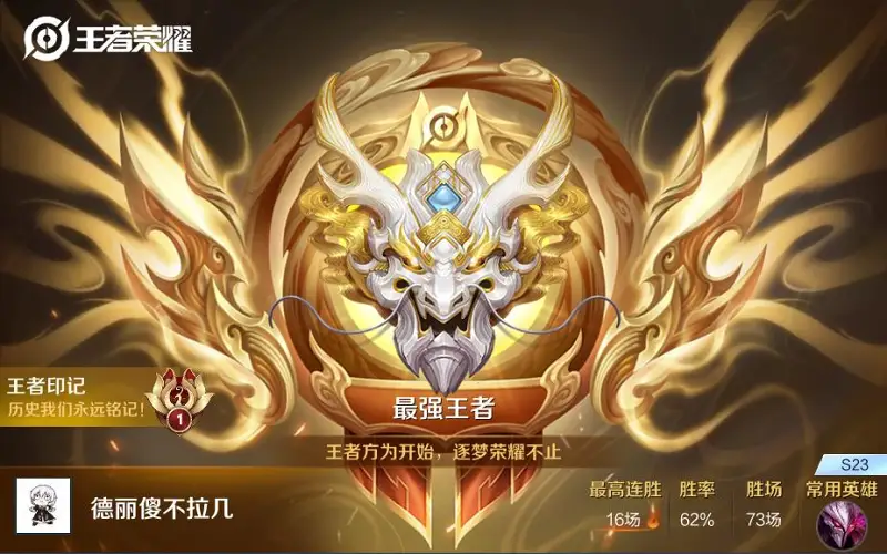 终于上王者了