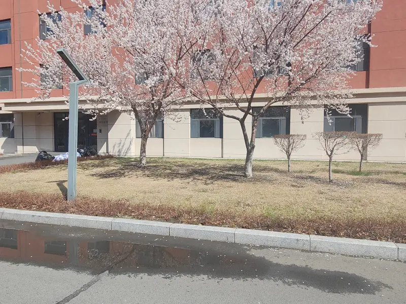开春了说是
