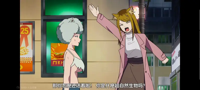尼古喵喵,雅尼猫,动画,动漫,番剧,日漫,二次元,ACG