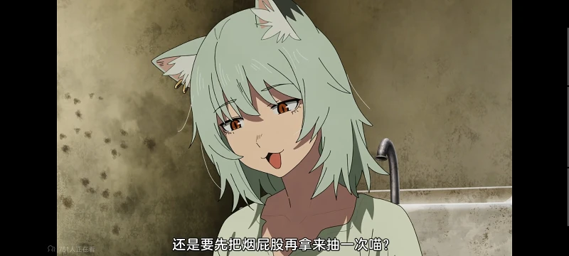 尼古喵喵,雅尼猫,动画,动漫,番剧,二次元,ACG,日漫