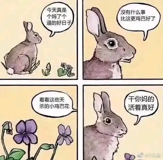 meme