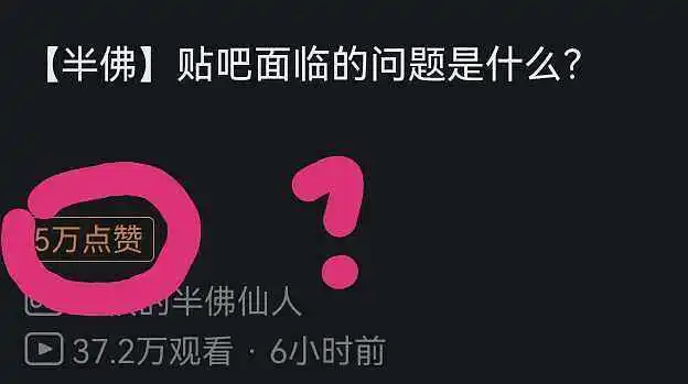 闲聊茶馆,睿站,不要脸,造假