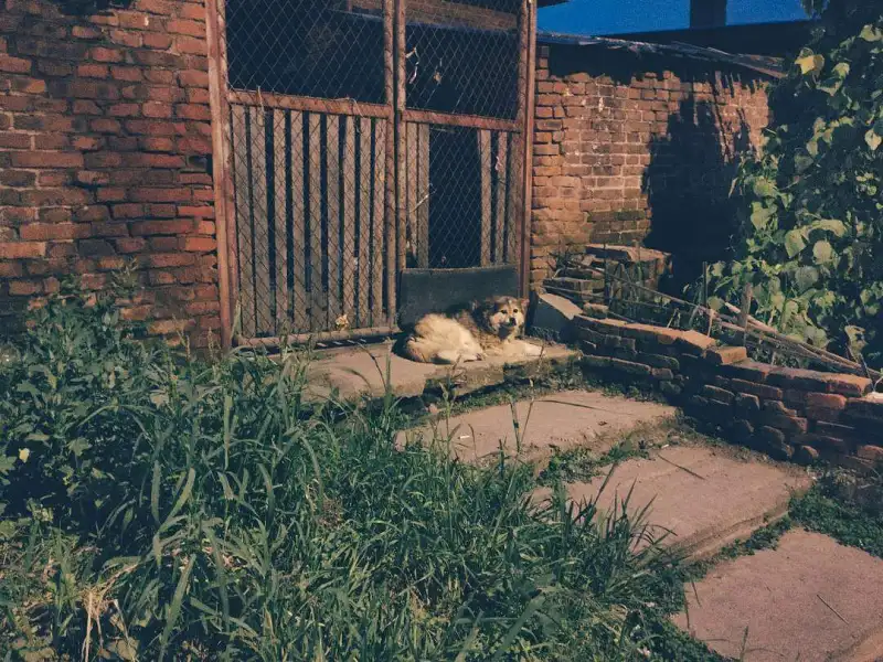 闲聊茶馆,九格图