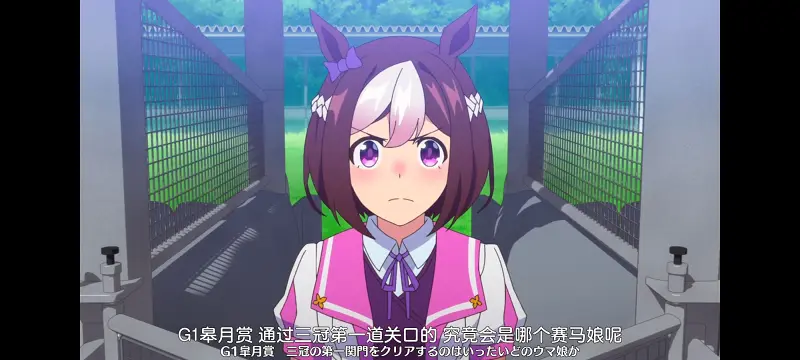 赛马娘,赛马娘PrettyDreby,动画,动漫,番剧,ACG