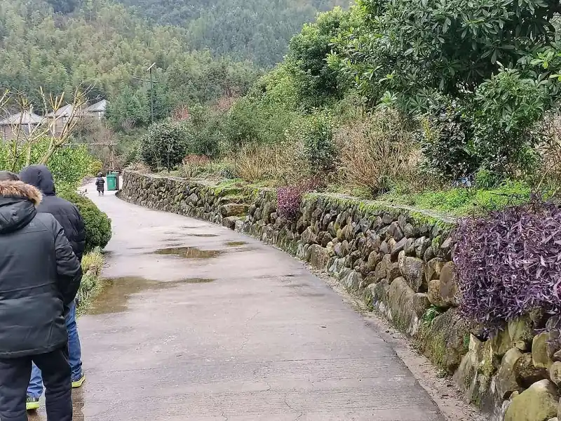 冬游