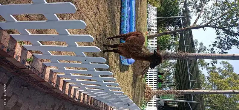 闲聊茶馆,你至少使用一个话题