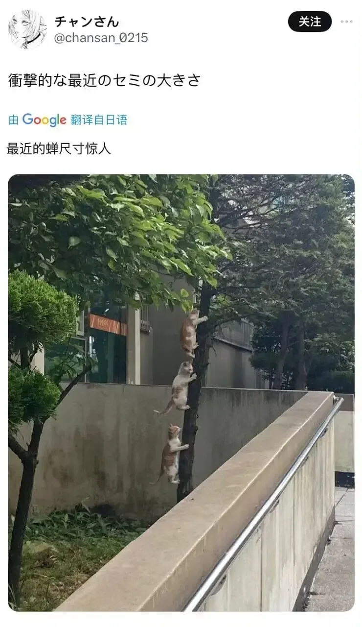 搞笑,逗图,弔图,趣图,社死
