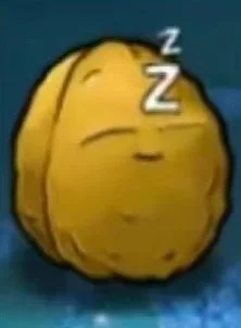 开学