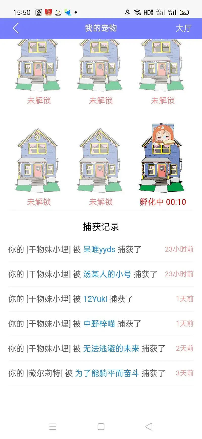 闲聊茶馆,宠物