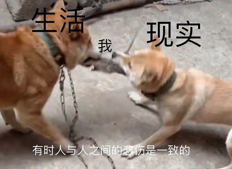 救急