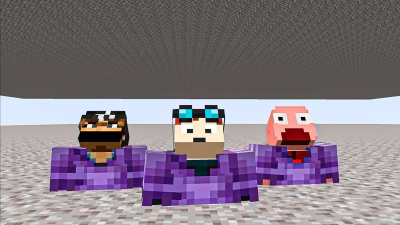 【Minecraft Curios】我用区块放置器窒息我的敌人