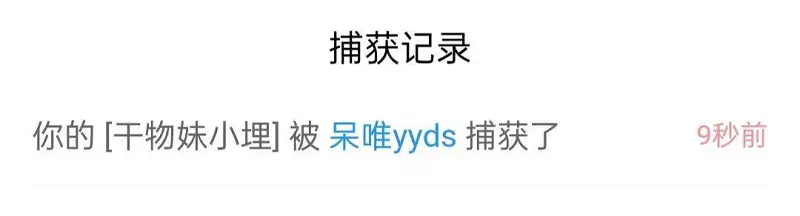 闲聊茶馆,宠物