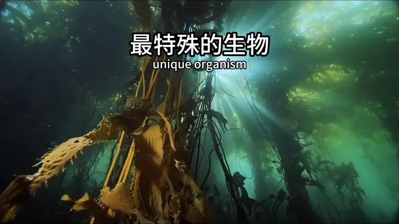 地球史上最特殊的生物 不是动物也不是真菌