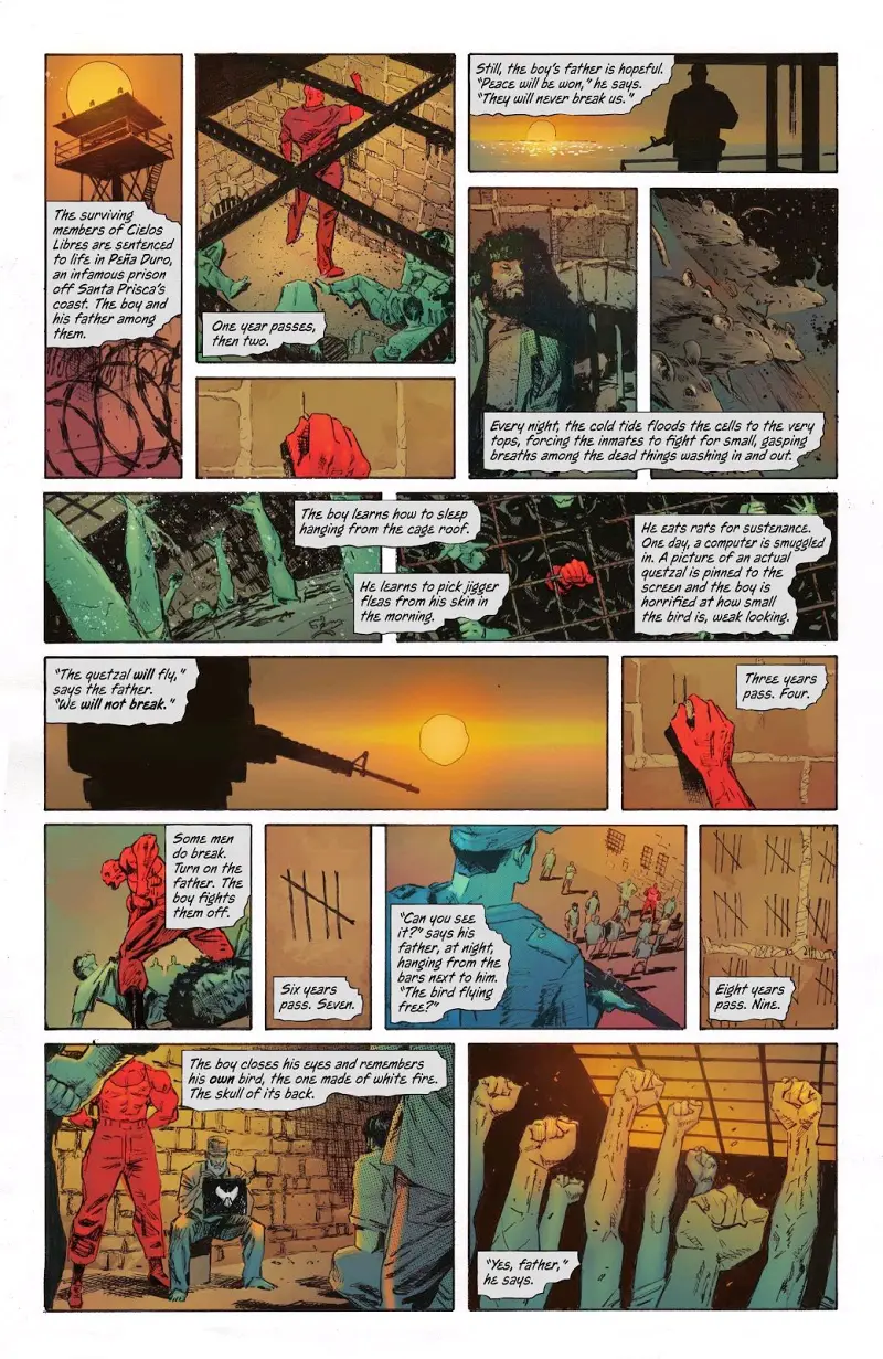 DC,DC漫画,美漫,超级英雄,漫画,绝对宇宙,绝对蝙蝠侠,蝙蝠侠,动漫,ACG