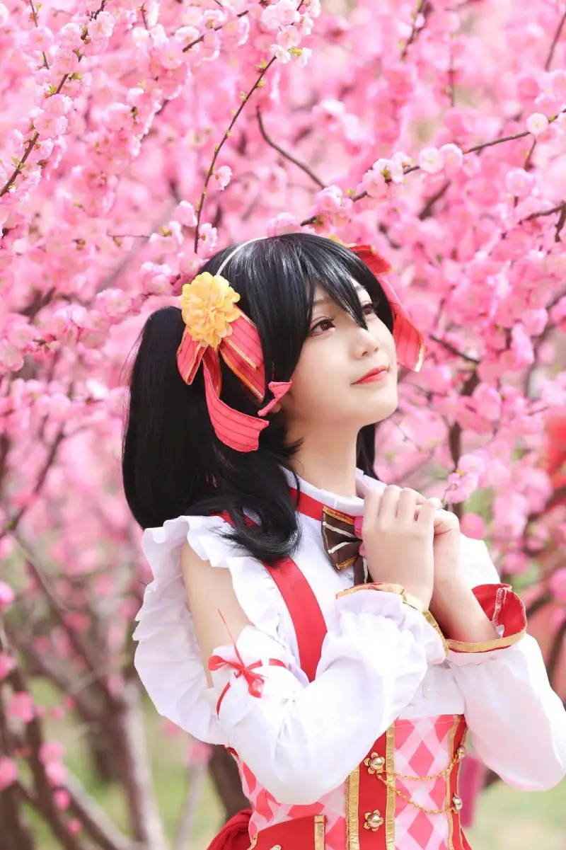 动漫专区,COSPLAY,动漫,矢泽妮可