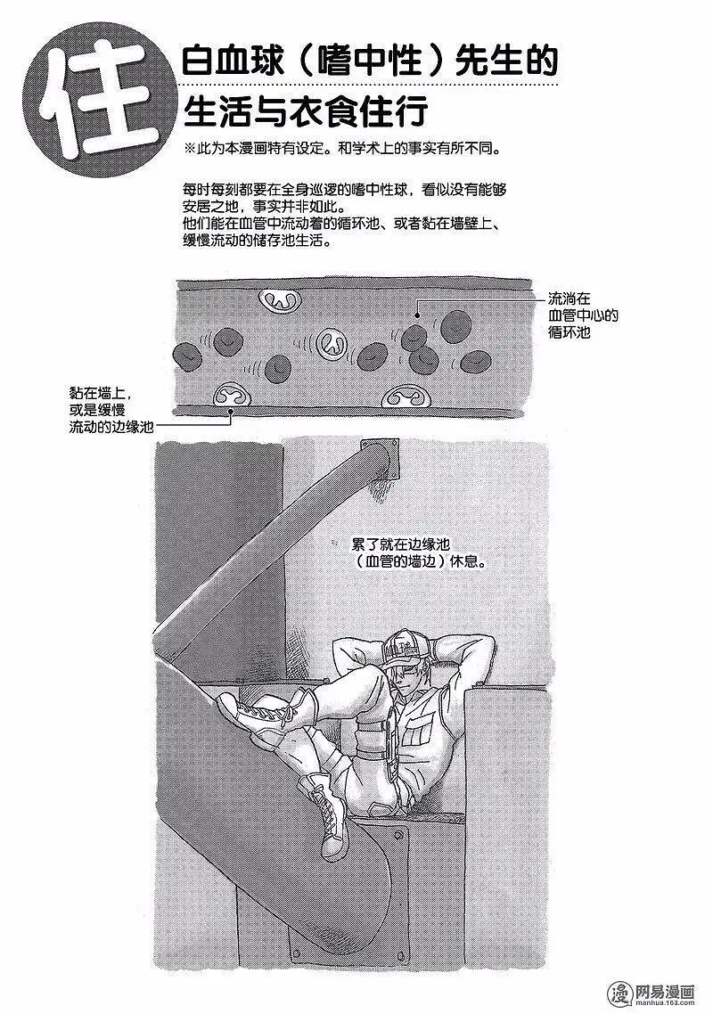 闲聊茶馆,工作细胞