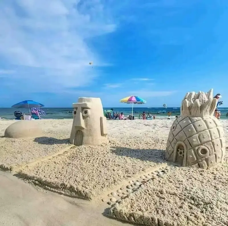 哇哦