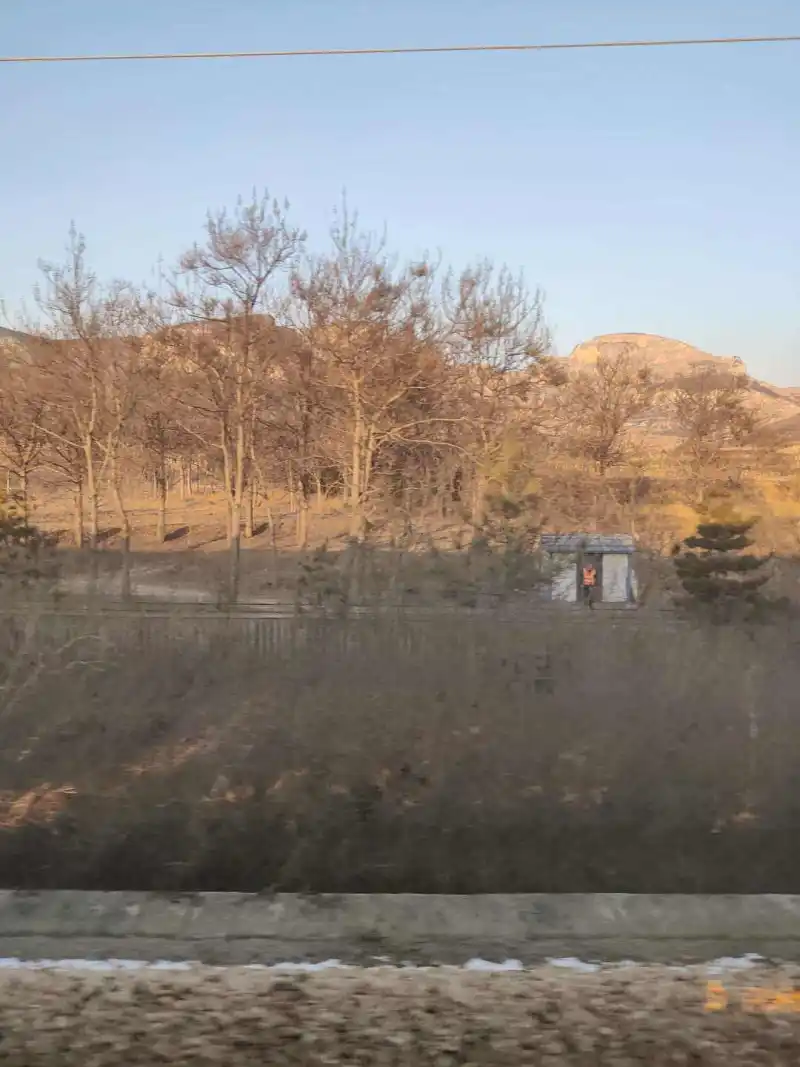 闲聊茶馆,新年快乐,回家