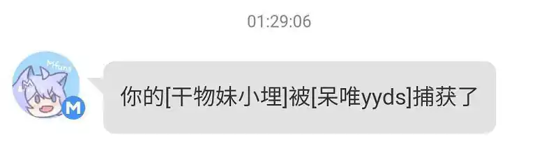 我的小埋呢