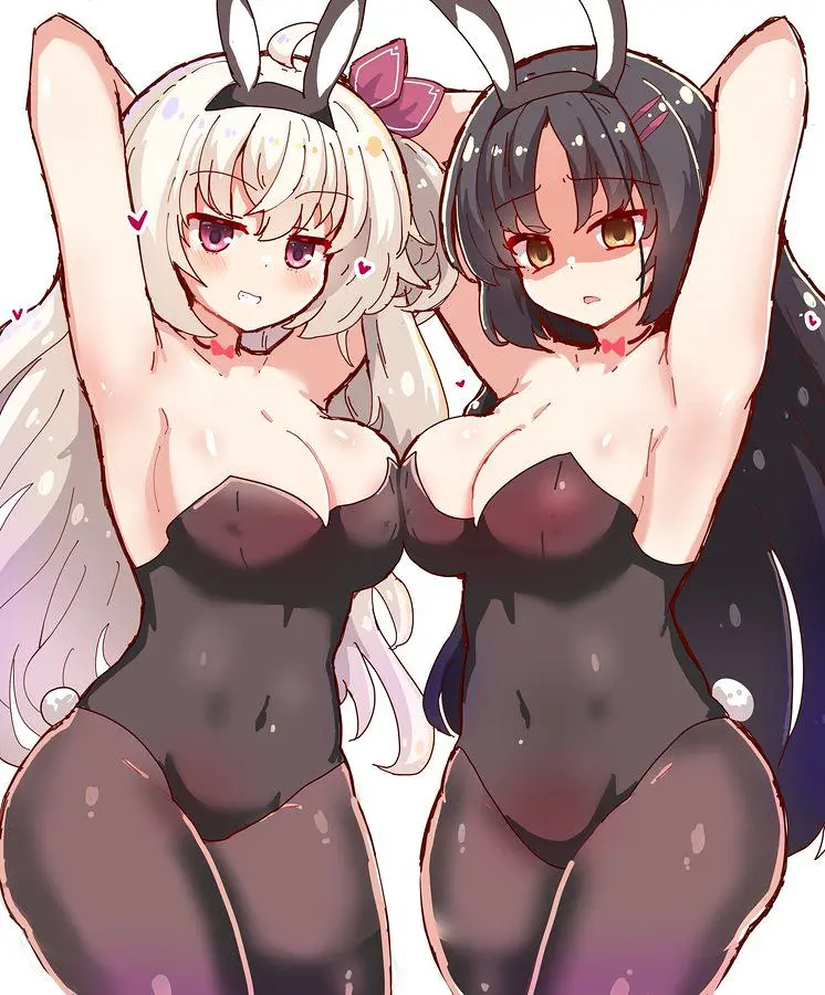 兔女郎,涩图