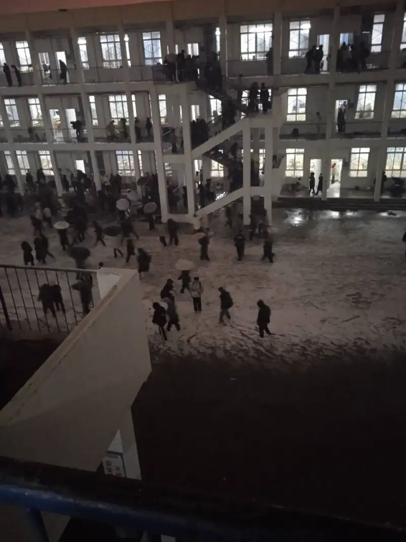 喜看落雪