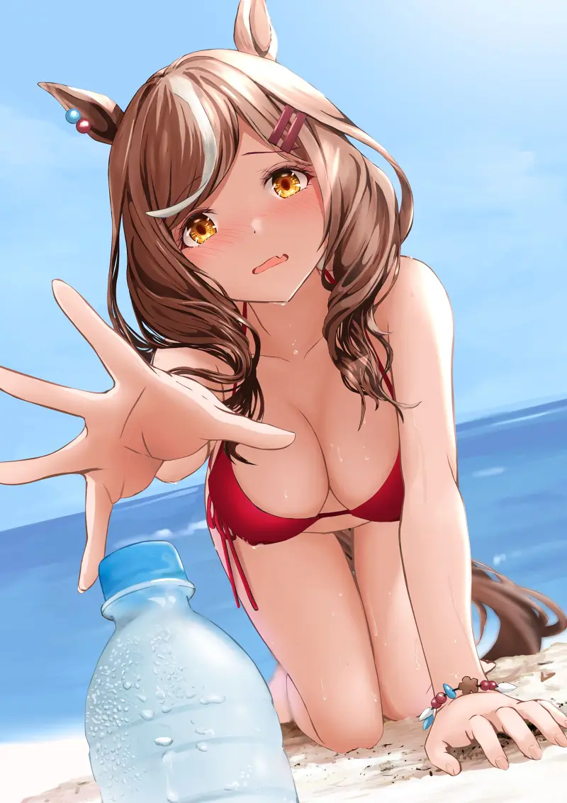 美图,赛马娘