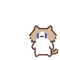 表情包,月薪喵,猫咪表情包,猫meme,哈基米