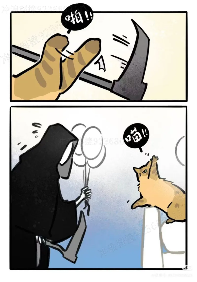猫,故事