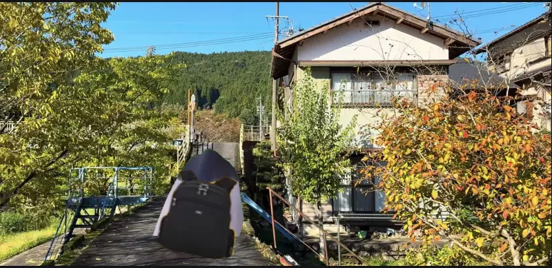 夏天……终于结束了