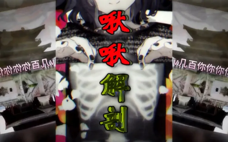（补档）【重投】啾啾解剖