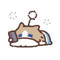 表情包,月薪喵,猫咪表情包,猫meme,哈基米