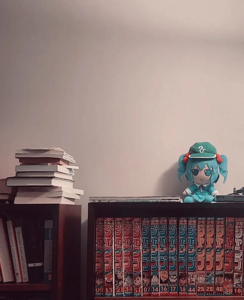 东方project,fumo