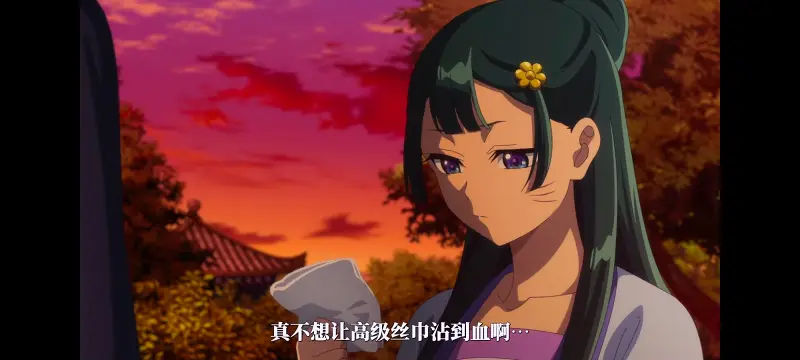 药屋少女的呢喃,药师少女的独语,动漫,动漫区,番剧,动画,番剧推荐,ACG