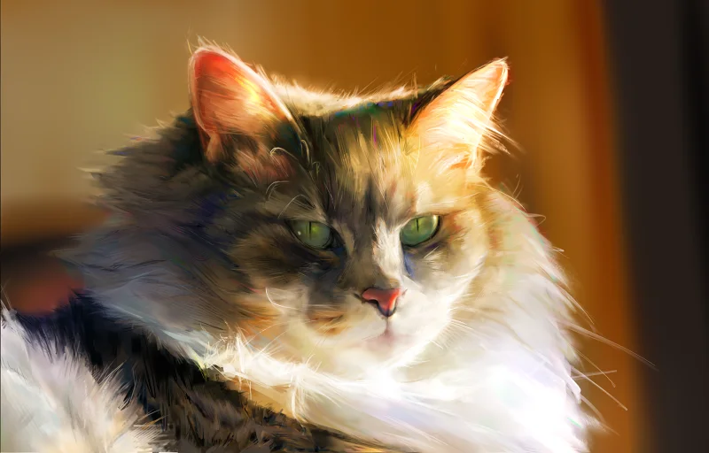 猫