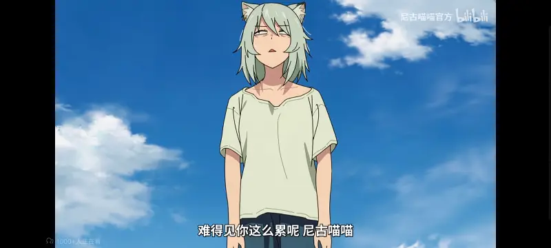 尼古喵喵,雅尼猫,动画,动漫,番剧,ACG,日漫,二次元