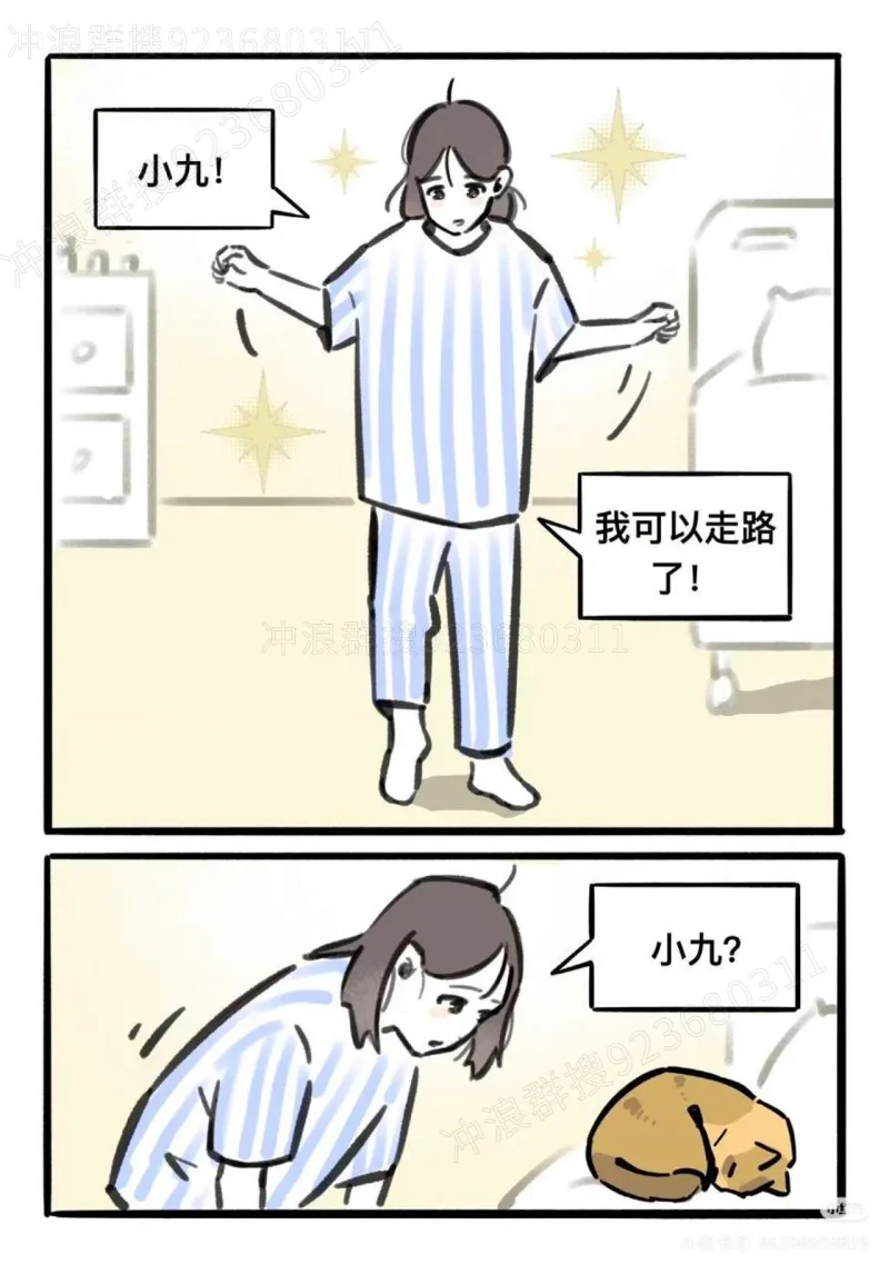 猫,故事
