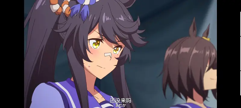 赛马娘,赛马娘PrettyDreby,动画,动漫,番剧,ACG