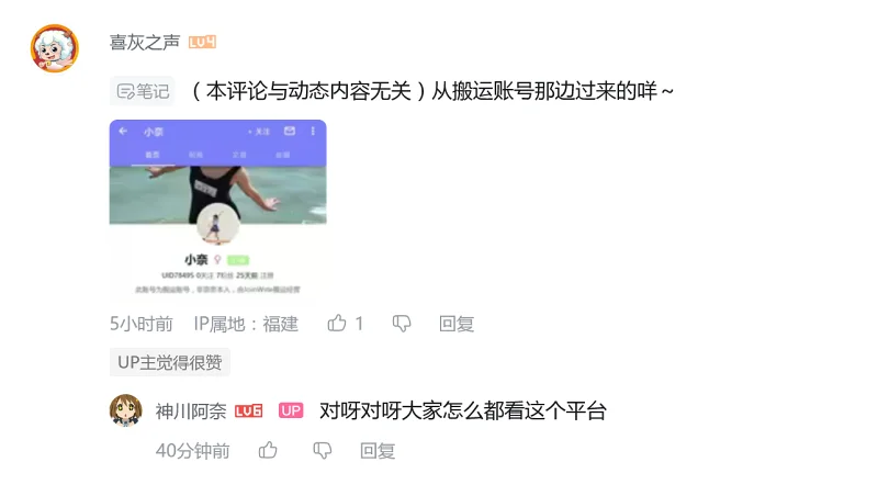 喵御宅可能又要来新人了：主攻舞蹈区，在B站有5.3万粉丝【神川阿奈】