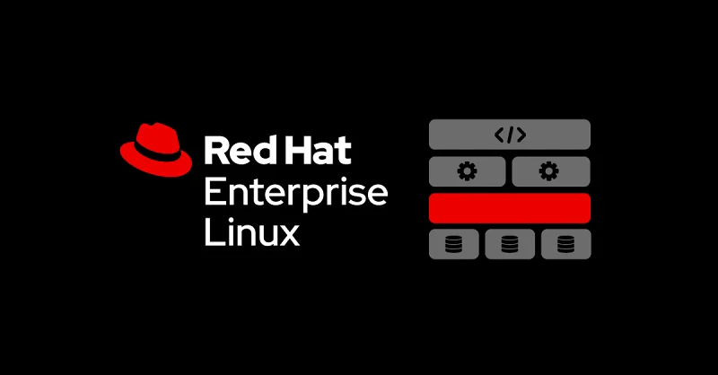 Debian,RHEL,Ubuntu,Immutable,Rocky,AlmaLinux,ArchLinux,Linux,发行版,Server