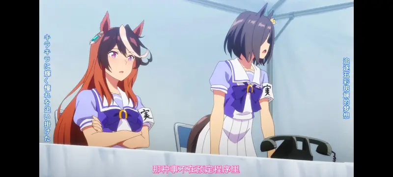 赛马娘,赛马娘PrettyDerby,赛马娘第二季,番剧,动画,动漫,二次元,ACG