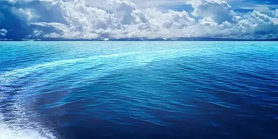 大海啊~你全是水