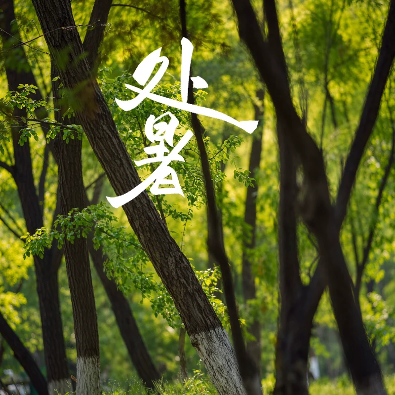 初秋竹影摇曳，让这杯咖啡把夏天正式送走