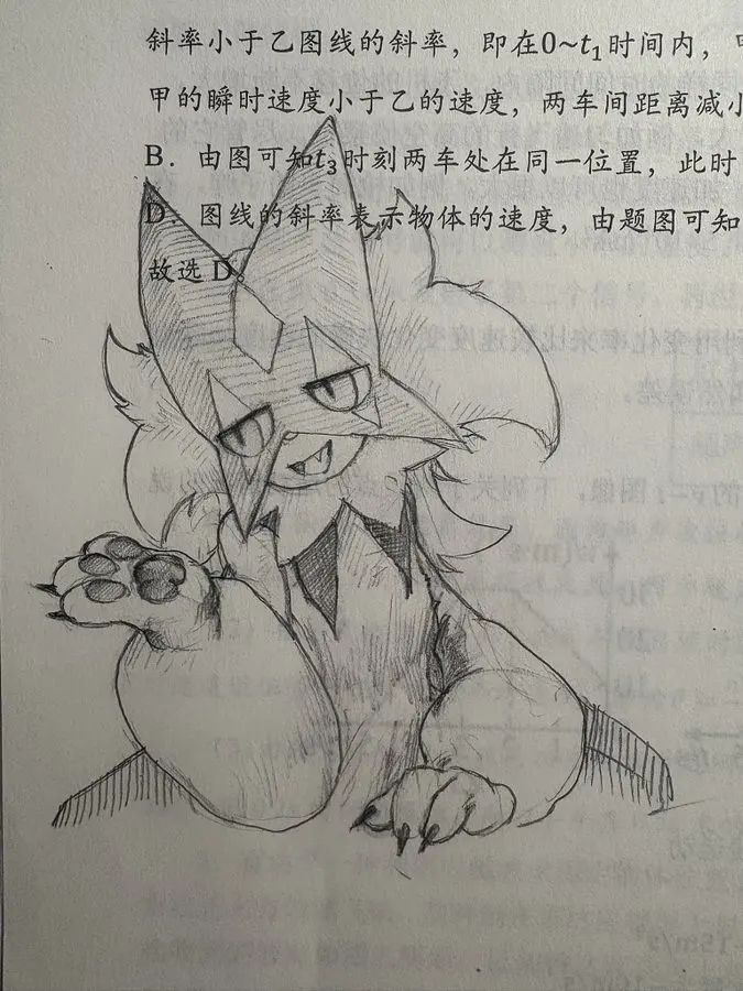 画