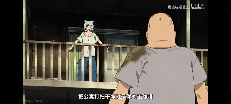 尼古喵喵,雅尼猫,动画,动漫,番剧,ACG,日漫,二次元