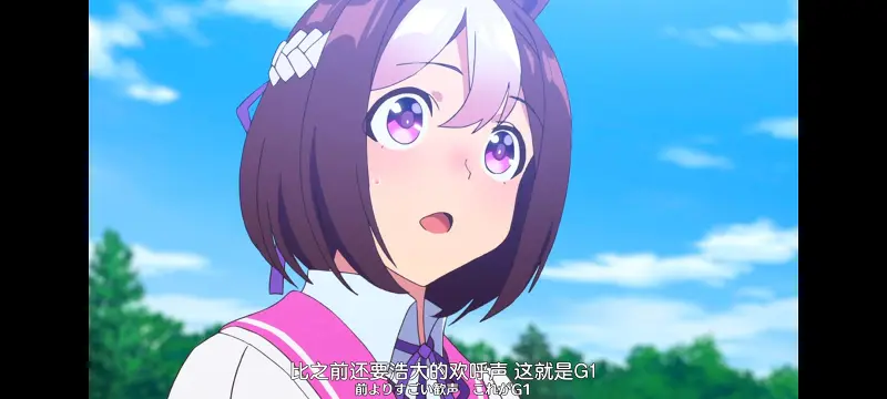 赛马娘,赛马娘PrettyDreby,动画,动漫,番剧,ACG