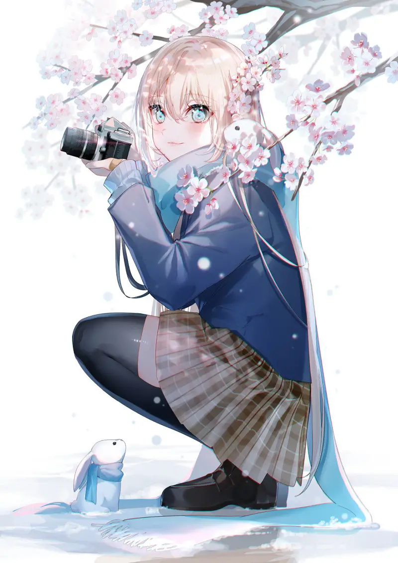 今日美图