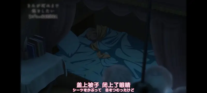 与你相恋到生命尽头,与你相恋到世界尽头,动画,动漫,番剧,百合,二次元,ACG